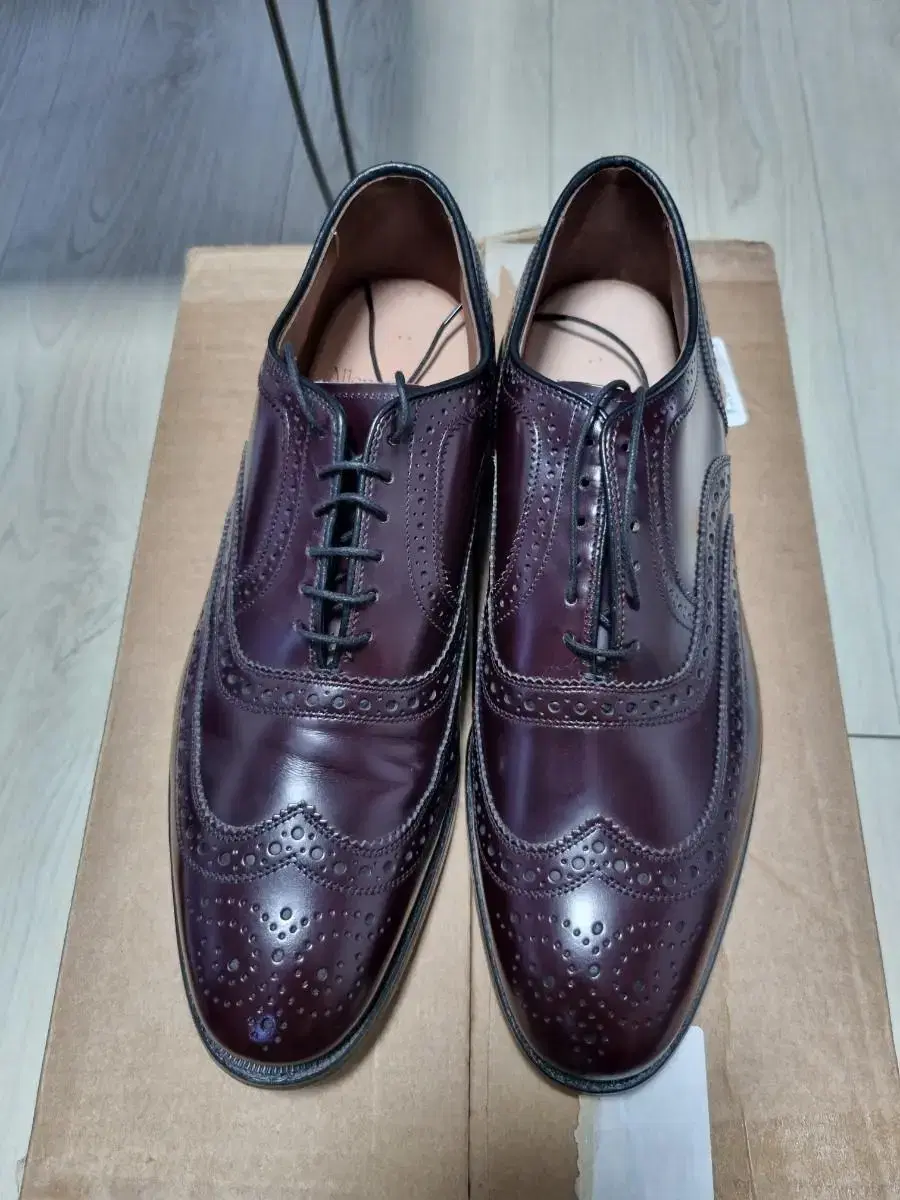 (260C) 알렌 에드몬즈 Allen Edmonds McAllister